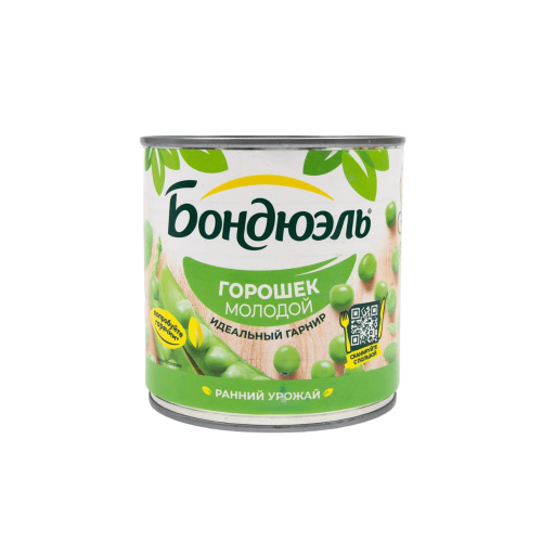 i-dorba (1) (1)
